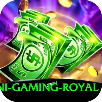 dhoni Gaming Royal - 2